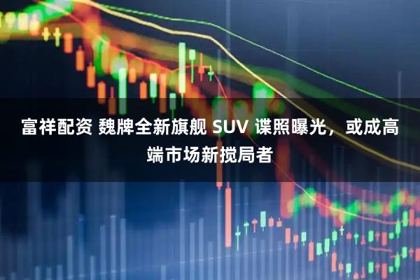 富祥配资 魏牌全新旗舰 SUV 谍照曝光，或成高端市场新搅局者